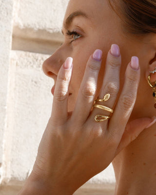 Anillo Coraje ajustable
