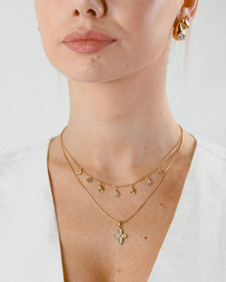 Collar Escudo