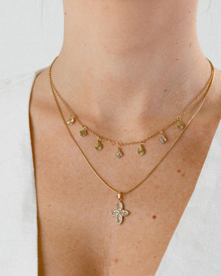 Collar Escudo