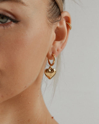 Aretes Pasión sin fin