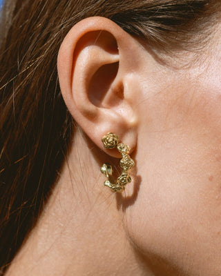 Argollas Campo de rosas