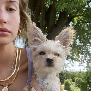 Set Hailey