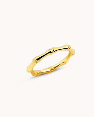 Anillo Neptunia