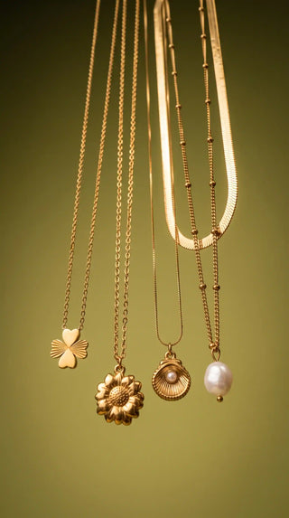 Novedades
