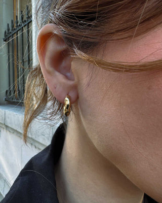 Aretes la bahía silver