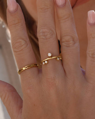 Anillo Rocío