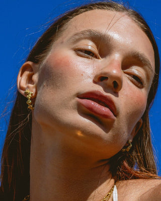 Argollas Campo de rosas