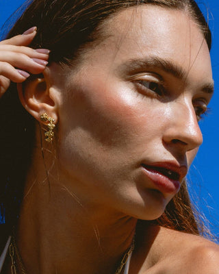 Argollas Campo de rosas