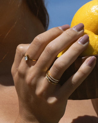 Anillo Begonia doble con Zircones