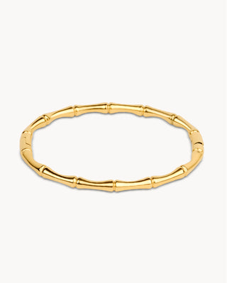 Pulsera rígida dorada con relieve de segmentos tipo bambú y superficie brillante, joya waterproof de Pialü