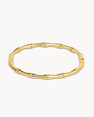 Pulsera solida Neptunia